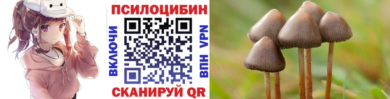 мориарти какой сайт  Югорск  Псилоцибиновые грибы Psilocybine cubensis  магазин продажи наркотиков 