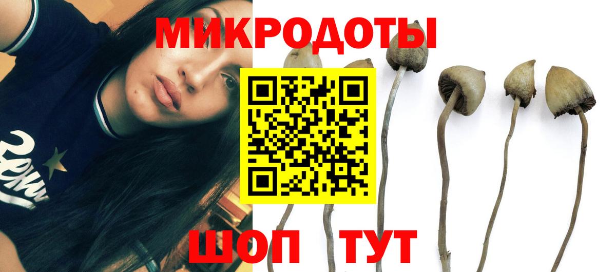 Югорск  где продают наркотики  Вход с VPN  Псилоцибиновые грибы ЛСД 
